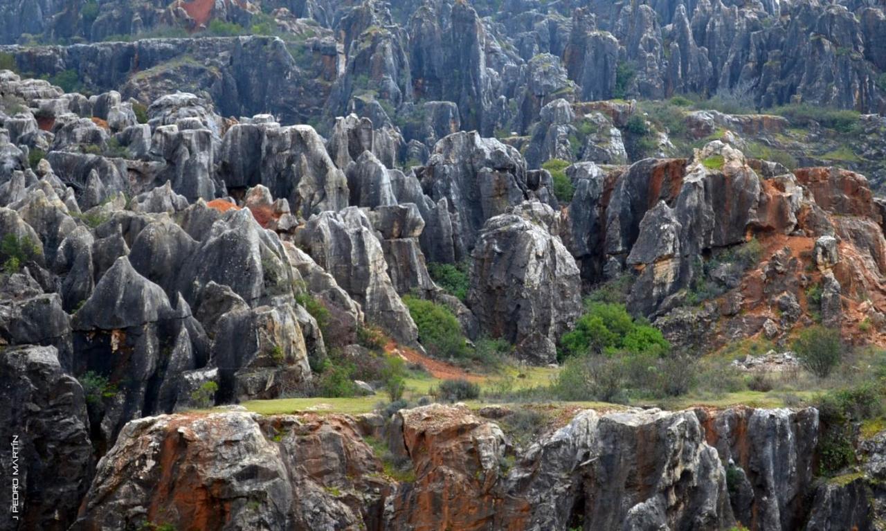 Finca Rural Labriega Del Hueznar Казалла де ла Сиерра Экстерьер фото